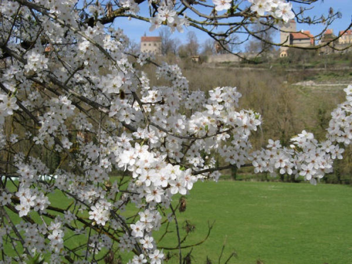 Herrnmuehle - Pension & Ferienwohnungen Rothenburg ob der Tauber Exteriör bild